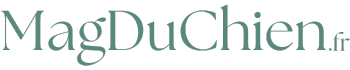 logo magduchien.fr